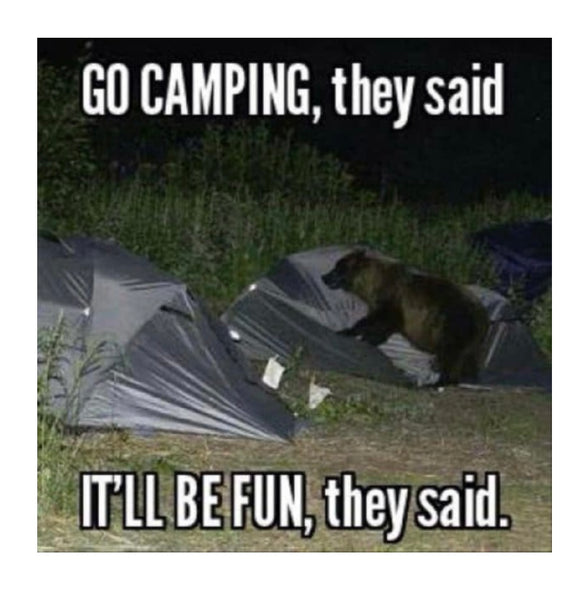 The humour behind a Bear Sentry