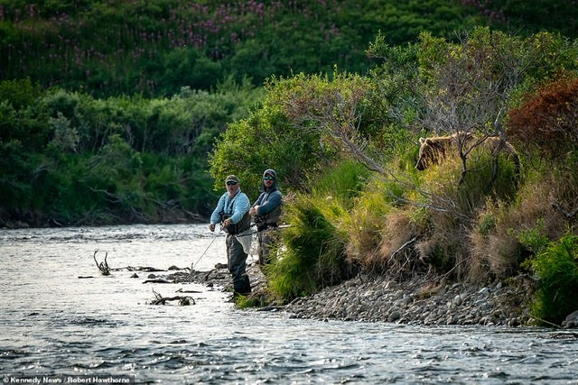 How long does it take to set up a Backcountry once you know what you are doing?