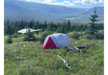 Load image into Gallery viewer, Camping scene with a red and gray tent surrounded by electric bear fence in a grassy field with mountains in the background.

