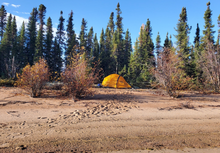 Load image into Gallery viewer, Yellow tent and an electric fence on a lakeshore with pine trees and clear sky
