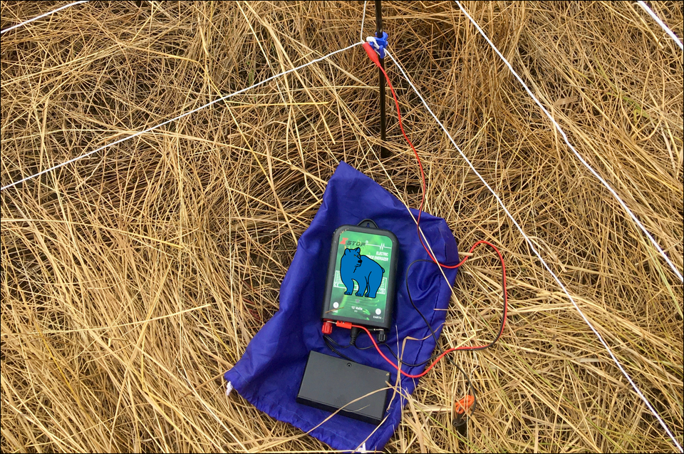 Energizer for electric bear fence forcamping hooked up to polywire, ground stake and power supply.